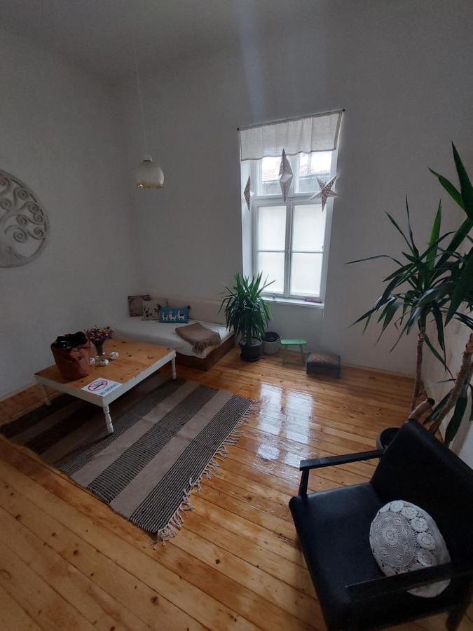 Keka - Apartment In Hart Of Vrsac Dış mekan fotoğraf